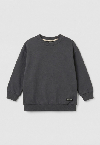LF kids, костюм облегченный  "Sweatshirt" ( цвет графит).  Арт.  LF 888005